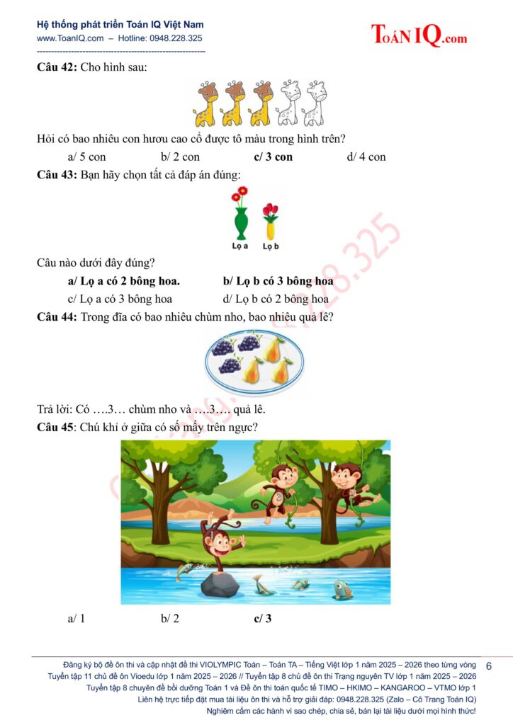 Đấu trường Vioedu lớp 1 năm 2025 - 2026