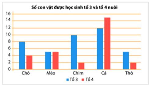 Đấu trường Vioedu lớp 6 cấp Tỉnh năm 2025 - 2026 - Câu 11