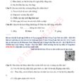 Tài liệu luyện đề thi Trạng nguyên Tiếng Việt lớp 2 Vòng 7 cấp Tỉnh năm 2023 – 2024 ôn tập theo 10 đề thi có đáp án (Vòng 7 [&hellip;]