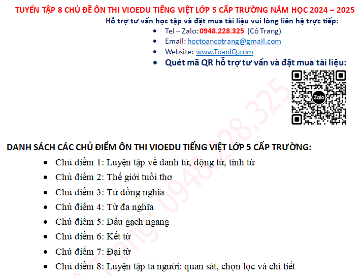 Đề ôn thi Vioedu tiếng việt lớp 5 cấp trường năm 2024 - 2025