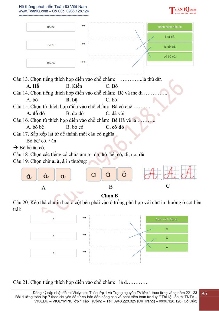 Đề thi VIOEDU lớp 1 cấp Trường